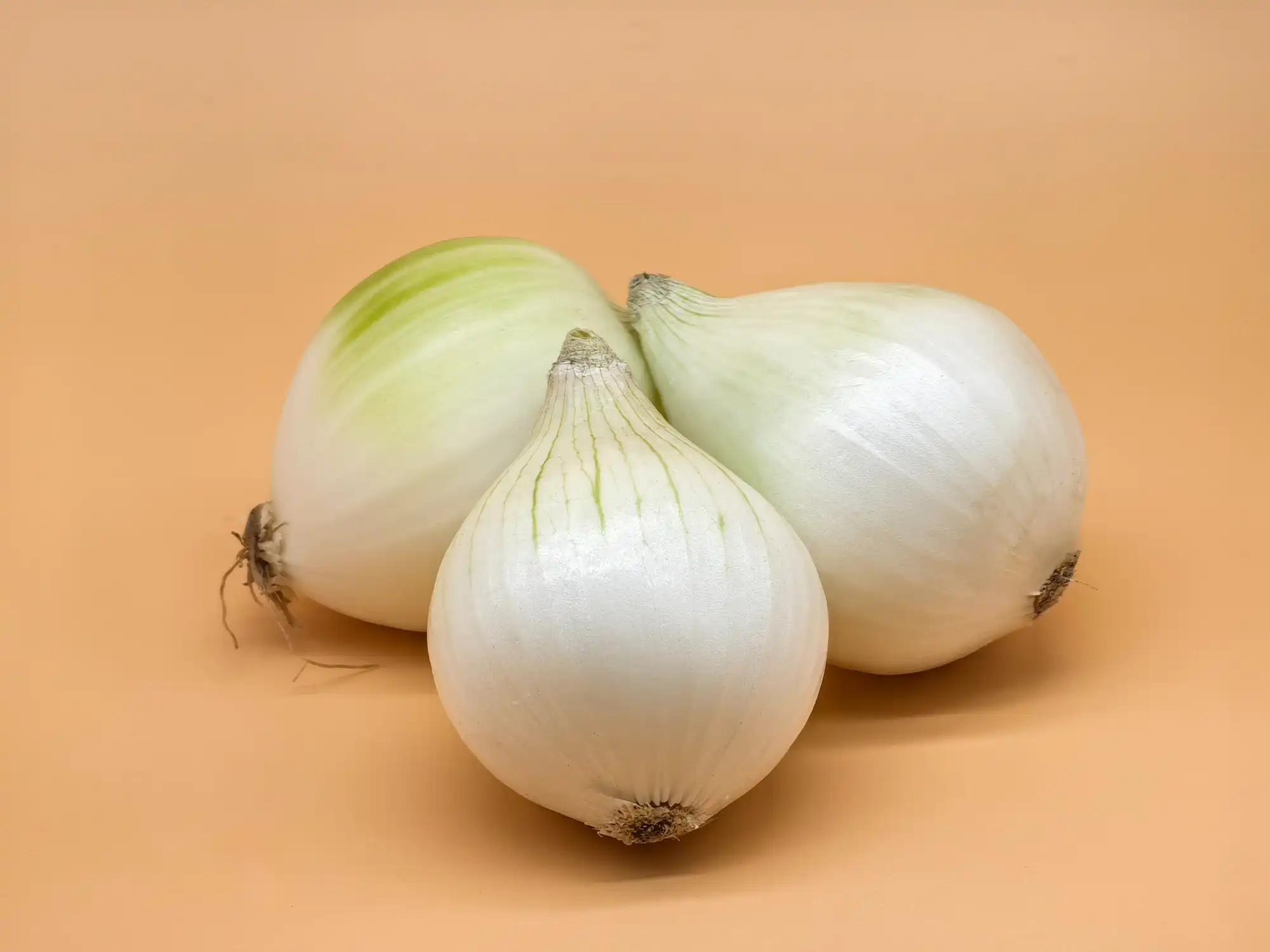 Cebolla blanca
