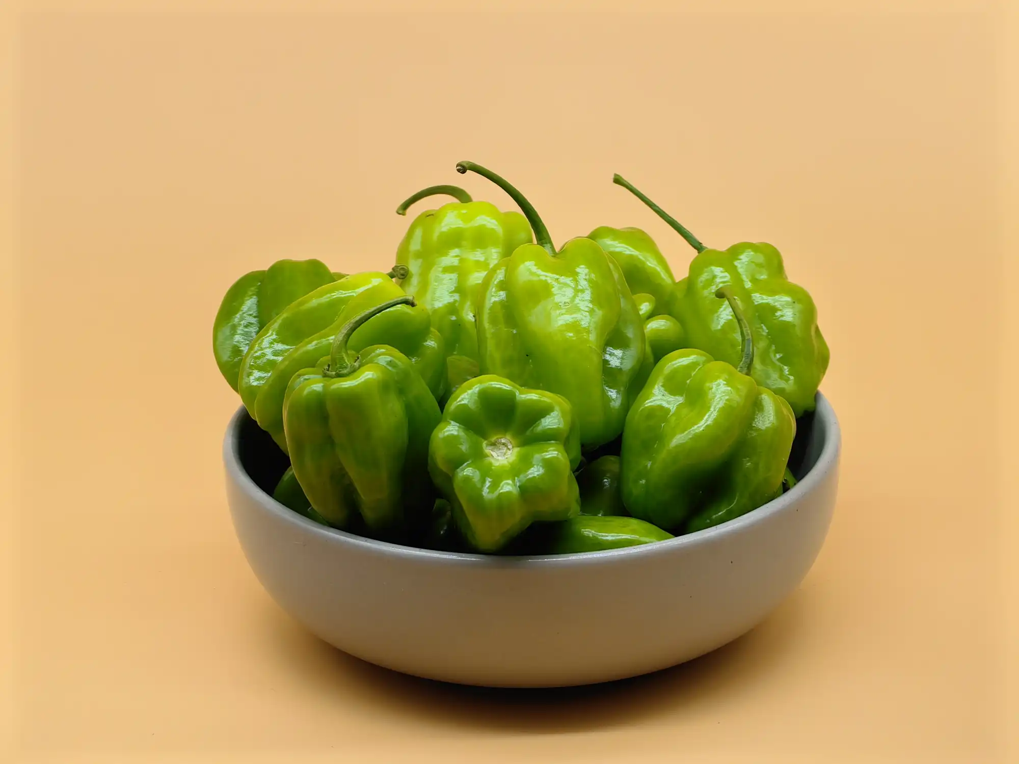 Chile habanero