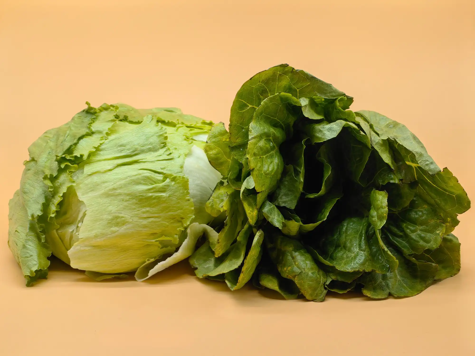 Lechuga